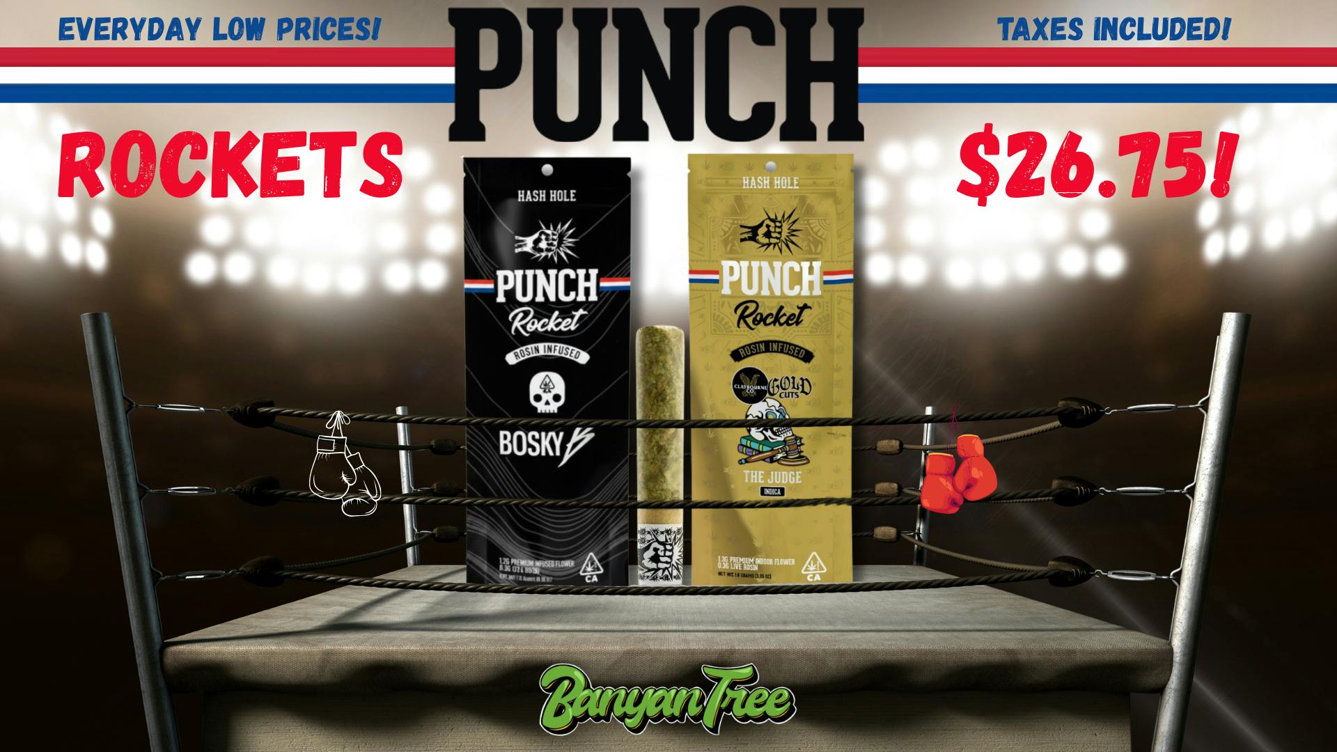 Banyan Tree Fresno Unleash the Power of Punch Rockets 🥊