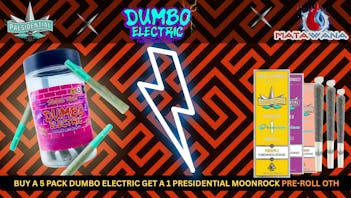 Matawana Dumbo X Presidential