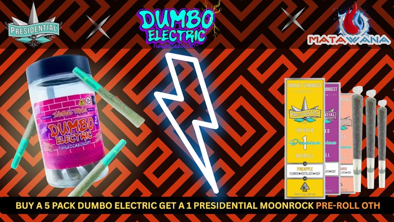 Matawana Dumbo X Presidential