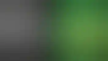 Dank Depot Delivery First Time Customers Receive a 15% off discount