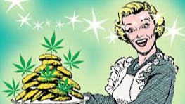 Cannamax Cannabis Boutique Fat Tuesday Save 10%