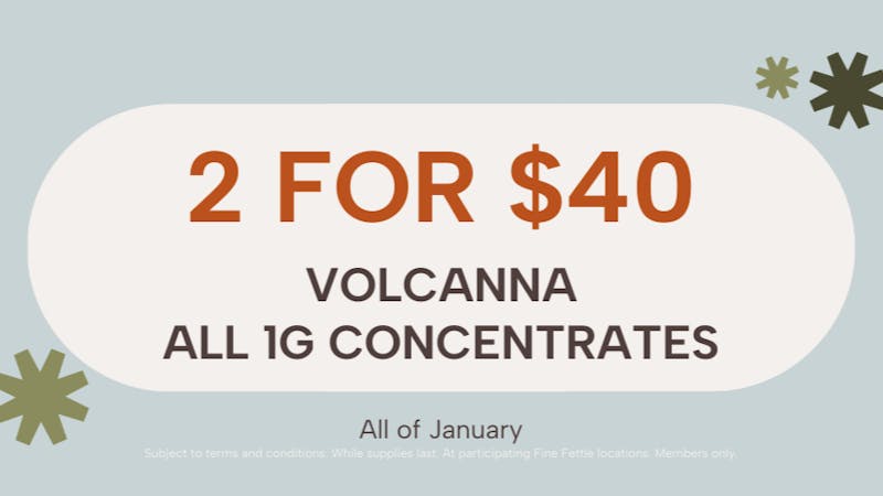 Fine Fettle - West Springfield Volcanna 1g Concentrates: 2 for $40