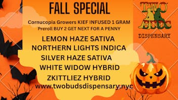 Two Buds Dispensary SHOP FALL SPECIAL NOW