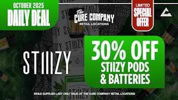 DTPG 💀Cursed with Savings, ✨ 30% OFF Stiiizy 🪦