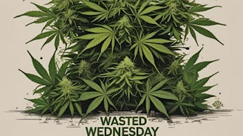 The House of Chronic WASTED WEDNESDAY