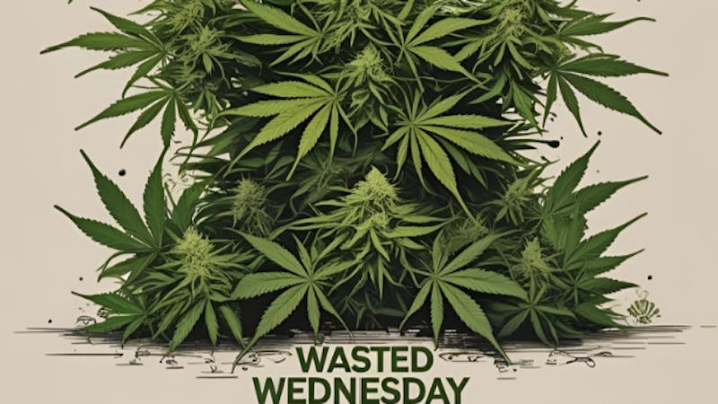 The House of Chronic WASTED WEDNESDAY