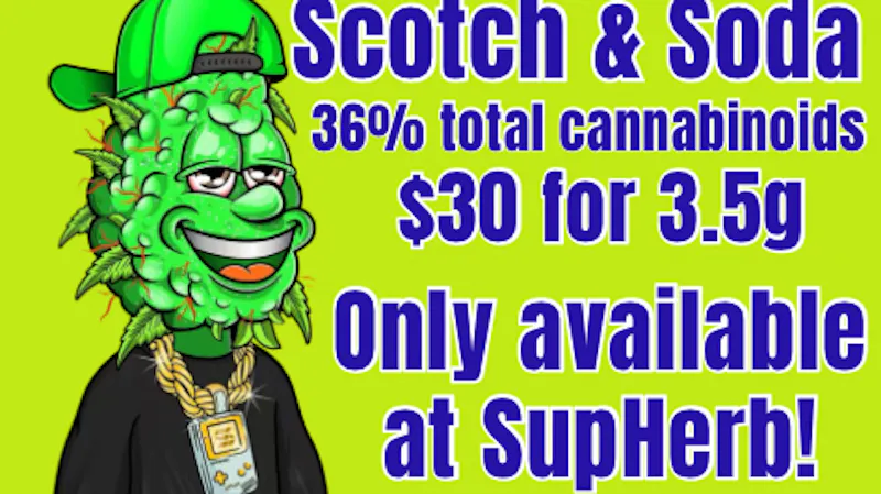 SupHerb Dispensary 36% Scotch and Soda Strain