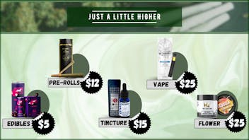 420 Bliss - Troy One Deal, Endless Highs 💨