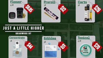 Just A Little Higher - Briarwood, Queens 🔥 Stay Lifted, Spend Less!