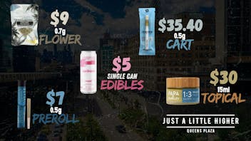 Just A Little Higher - Queens Plaza Rise Up 🔥 Without Breaking the Bank