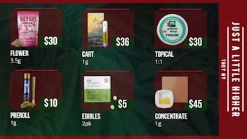 420 Bliss - Troy Delivery They’re Back! 💨 The Highs You’ve Been Waiting For