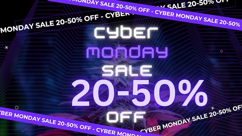 RushBudz Delivery Cyber Monday 20-50%OFF