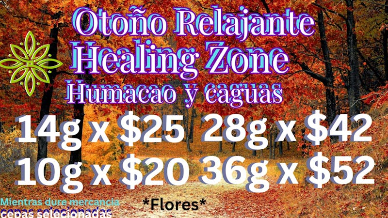 Healing Zone - Humacao OTOÑO RELAJANTE EN HEALING ZONE