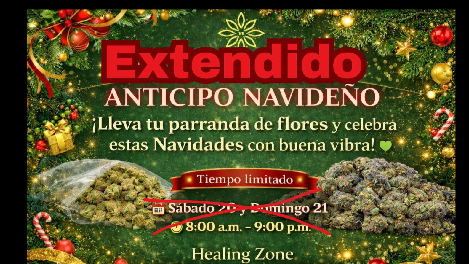 Healing Zone - Humacao Anticipo Navideño