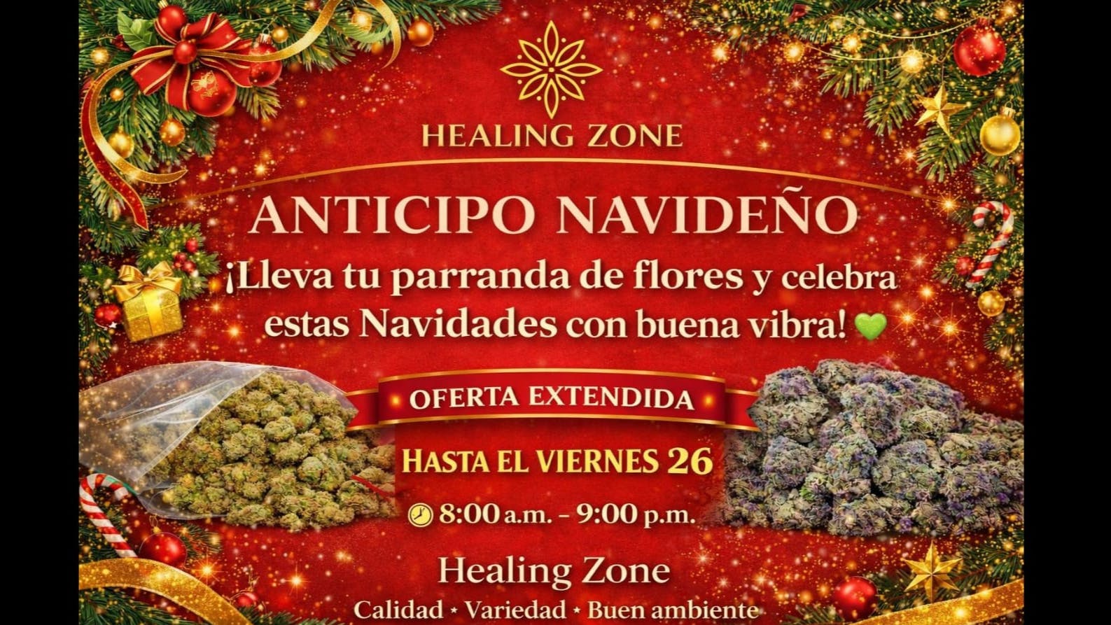 Healing Zone - Humacao Anticipo Navideño