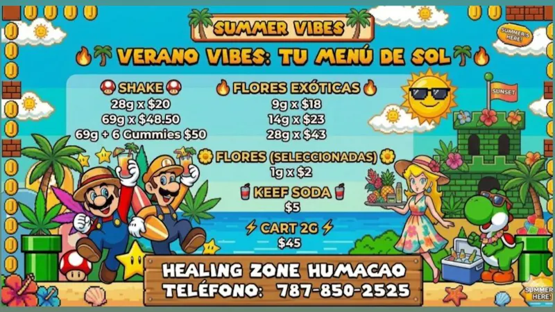Healing Zone - Humacao OFERTA DE VERANO🏖️🩴
