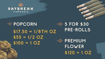 Kind Goods - Fenton Daybreak Seasonal Savings