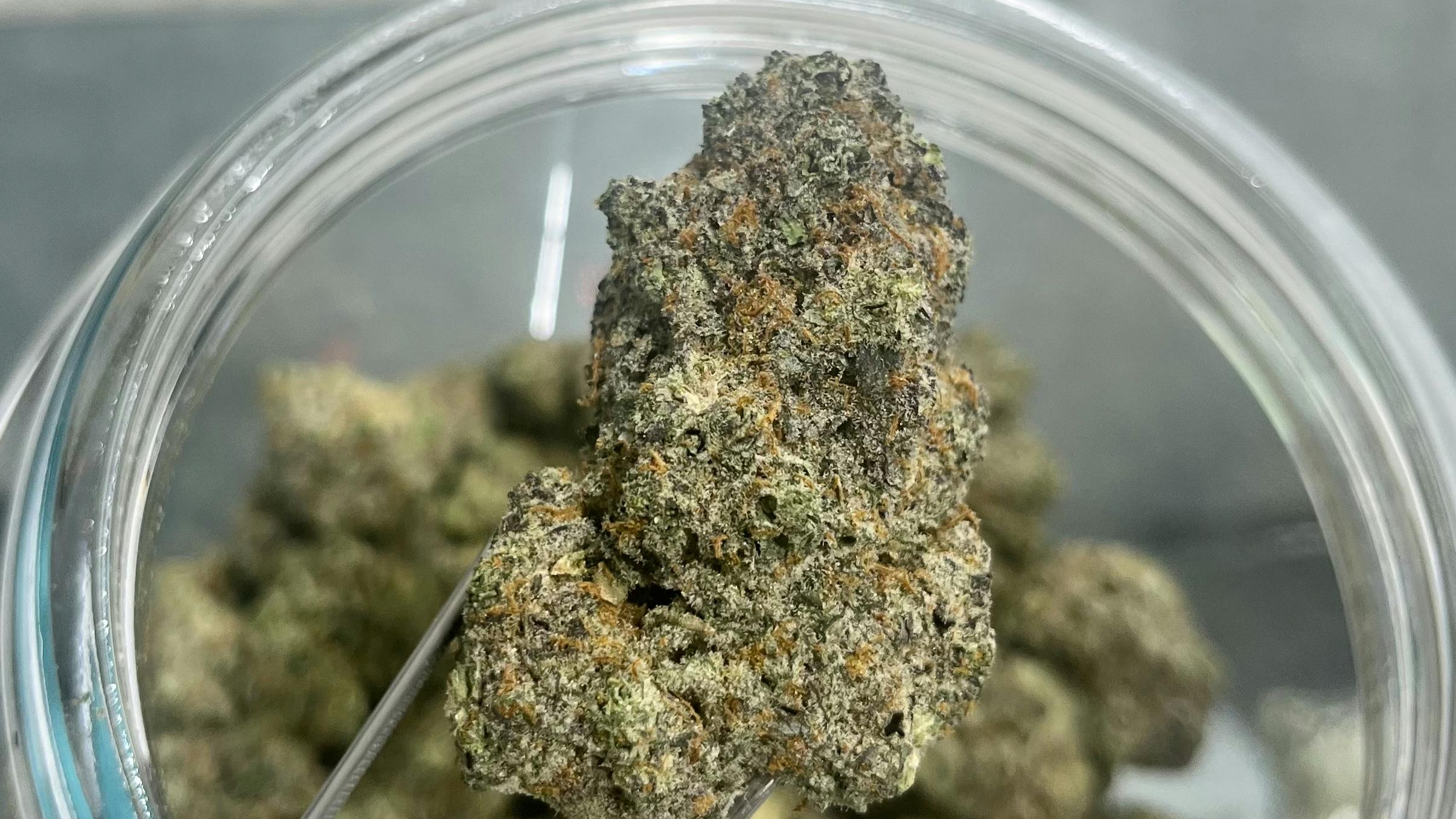 The Dispensary - SD Mark Down Monday