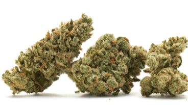 House Of Dankness All Rare Dankness Full Bud Ounces 20% Off!