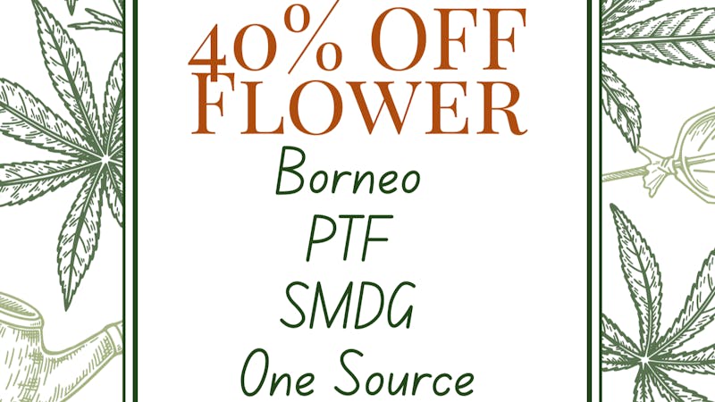 Green Magnolia - Canton 40% Off Select Flower