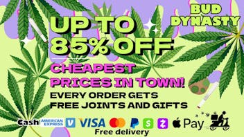 Bud Dynasty UP TO 85% OFF +FREE PREE ROLL & GIFTS W/ALL ORDERS