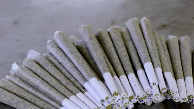 THC Recreation Station Salem Thursdays All Prerolls 10% Off