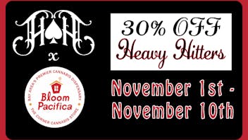 Bloom Room Pacifica 30% OFF All Heavy Hitters
