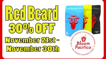 Bloom Room Pacifica 30% OFF All Red Beard Flower