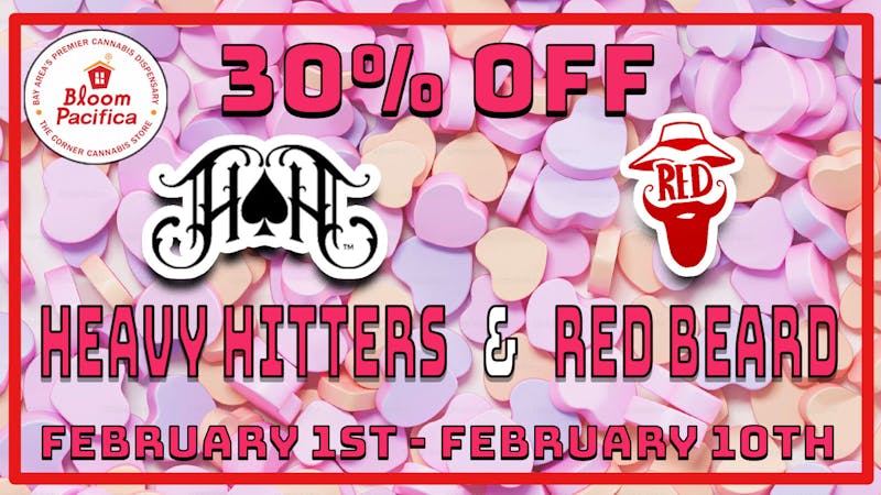 Bloom Room Pacifica 30% OFF All Heavy Hitters and Red Beard Flower