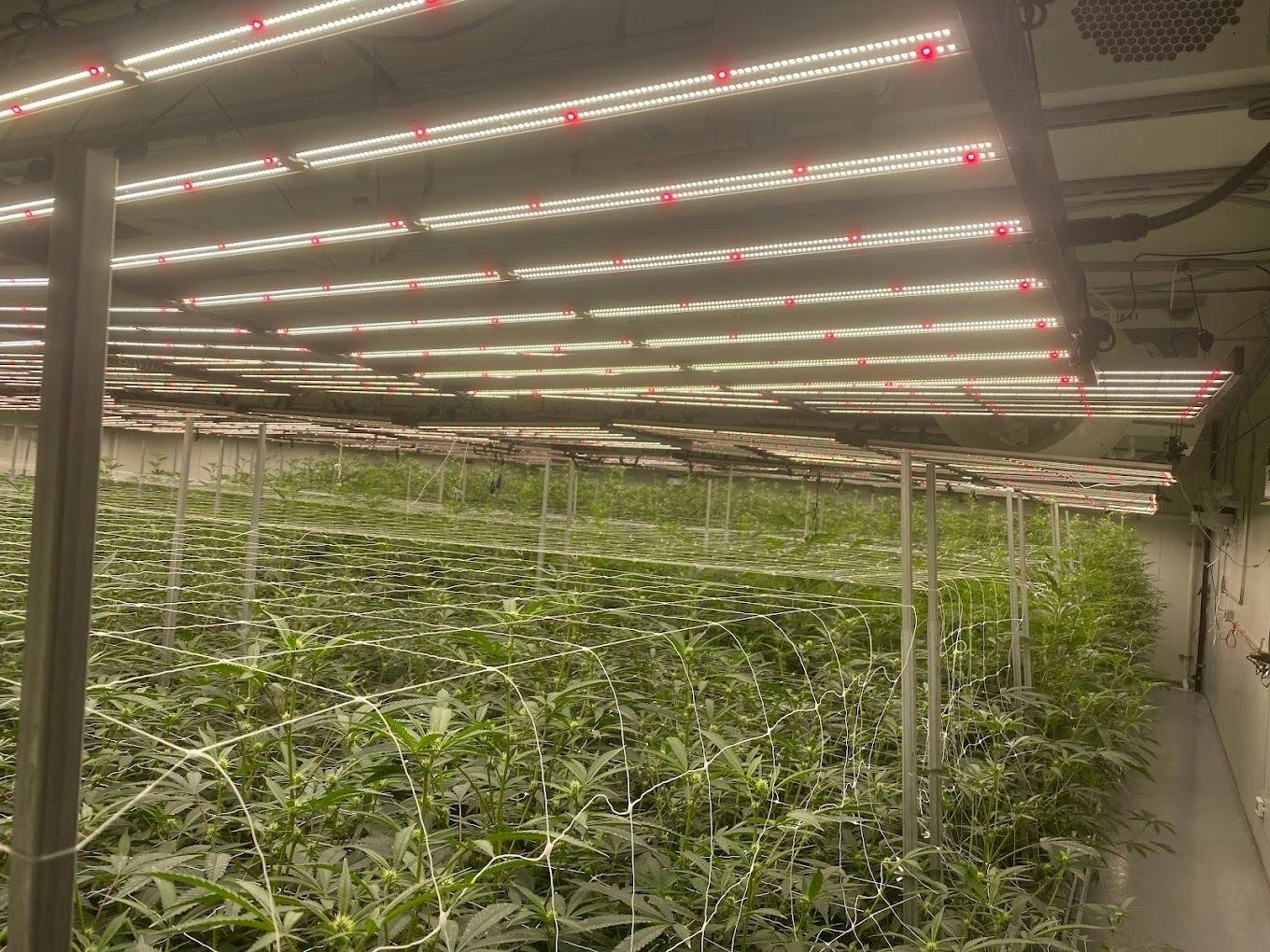 Rebud - Lake Forest - Delivery Listing - Photo 2