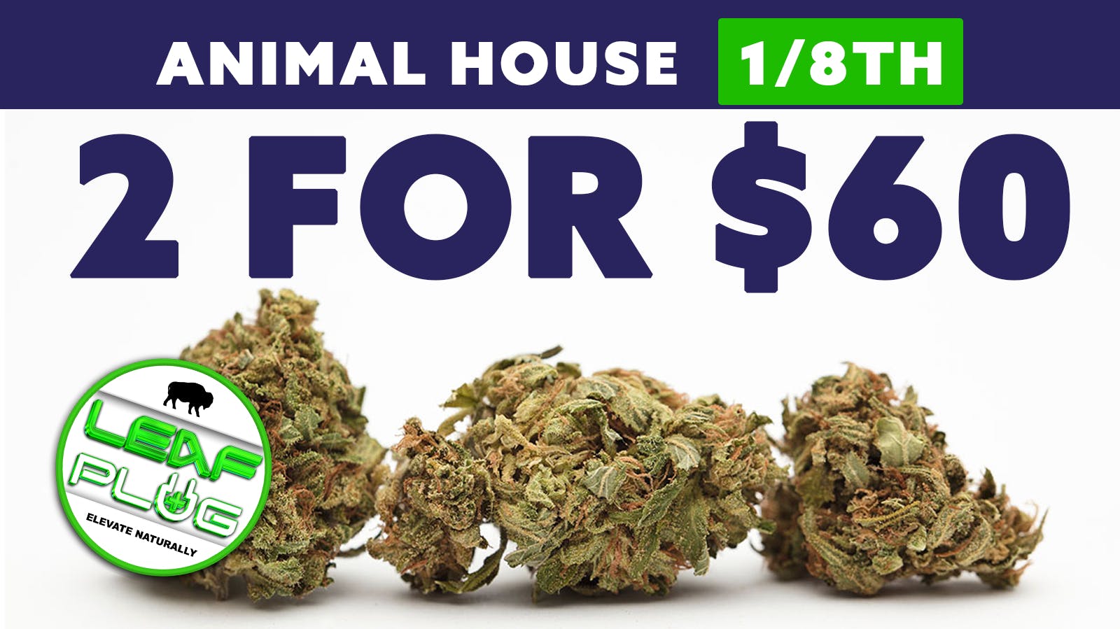 Leaf Plug Animal house 1/8ths- 2 for 60