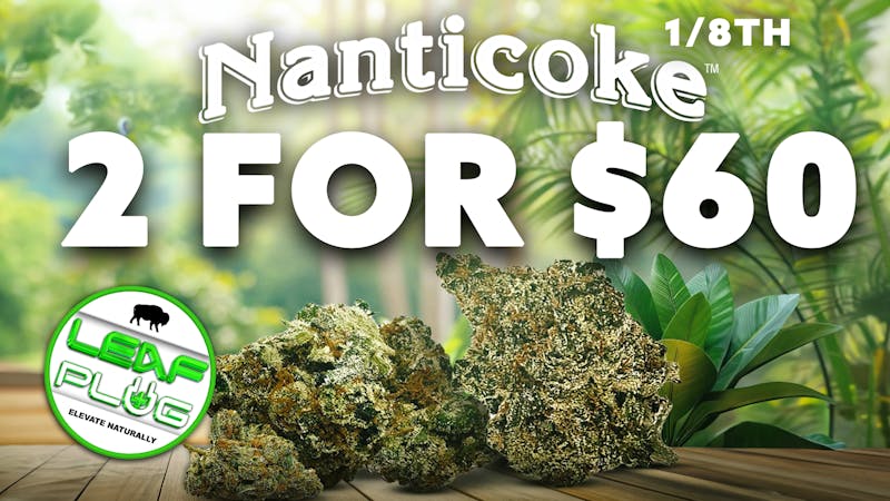 Leaf Plug Nanticoke 1/8ths- 2 for 60