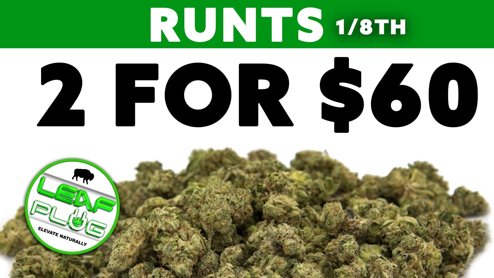 Leaf Plug Runts 1/8ths- 2 for 60