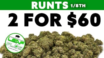 Leaf Plug Runts 1/8ths- 2 for 60