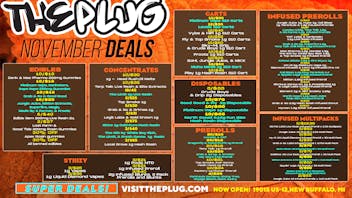 The Plug New Buffalo - NOW OPEN ⚡ STAY PLUGGED IN — NOVEMBER SAVINGS BLOWOUT ⚡