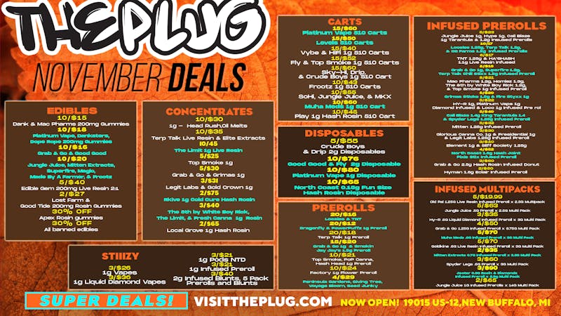 The Plug New Buffalo - NOW OPEN ⚡ STAY PLUGGED IN — NOVEMBER SAVINGS BLOWOUT ⚡
