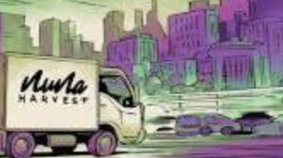 Nuna Harvest Delivery - Westchester County Entire Store BOGO 40% OFF