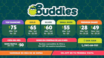 Buddies VERANO EN BUDDIES