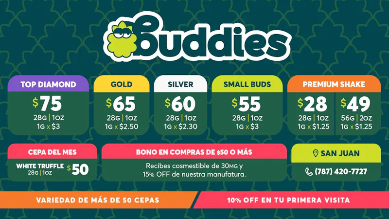 Buddies VERANO EN BUDDIES