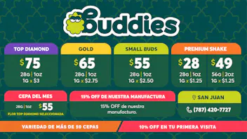 Buddies VERANO EN BUDDIES
