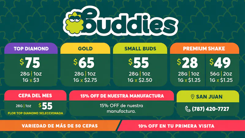 Buddies VERANO EN BUDDIES