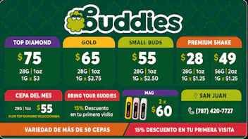Buddies VERANO EN BUDDIES