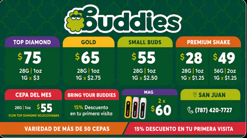 Buddies VERANO EN BUDDIES