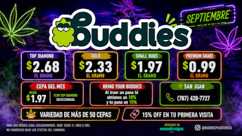 Buddies OFERTAS IRRESISTIBLES!!!