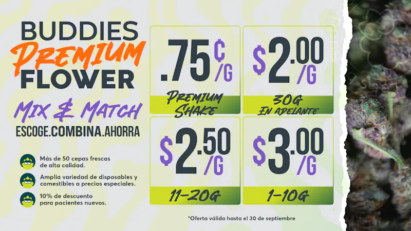 Buddies EN BUDDIES LO BUENO SE PONE MEJOR