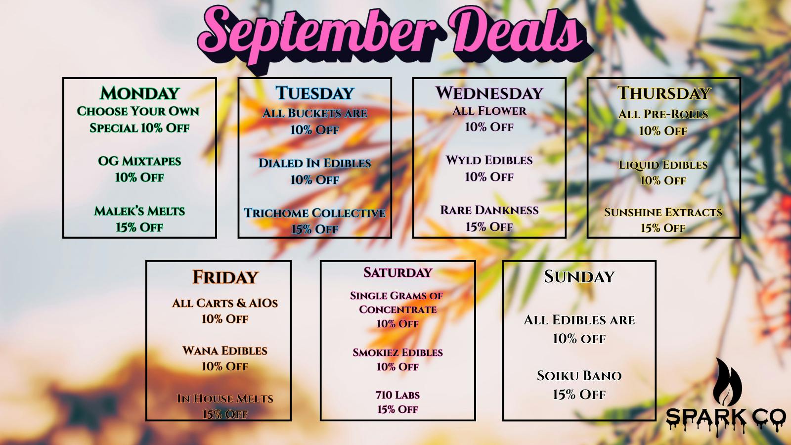 Spark Co September Deals To Get You Started!
