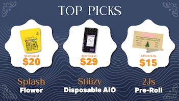 Indoor Treez Top Picks September