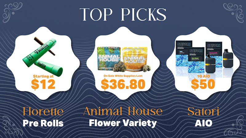 Indoor Treez Top Picks October