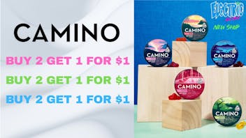 ELECTRIC AVENUE Camino! B2G1 for $1