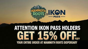 Mammoth Roots 15% OFF ENTIRE ORDER!!! IKON PASS HOLDERS
